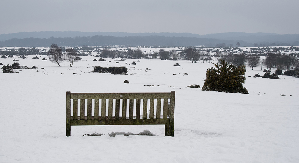 Winter Winter on West Wellow Common